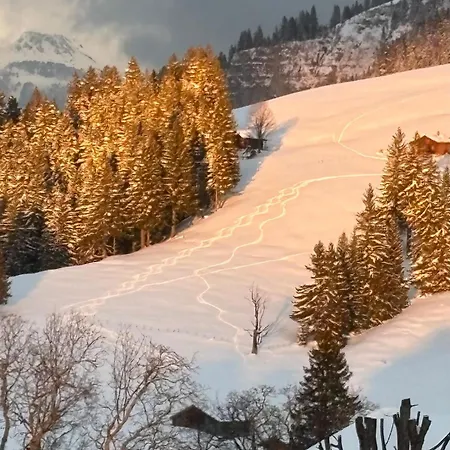 木屋 Panorama Kunterbunt Brienz *